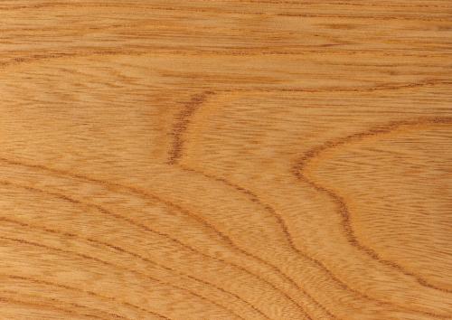 廣東麻豆91在线观看